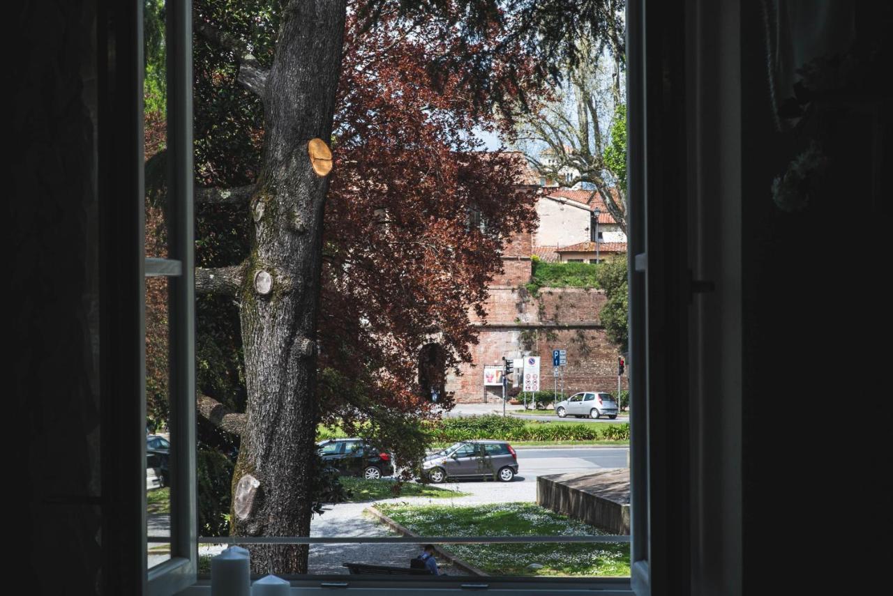 Belvedere Luxury Apartment, View On The Lucca Walls Екстер'єр фото
